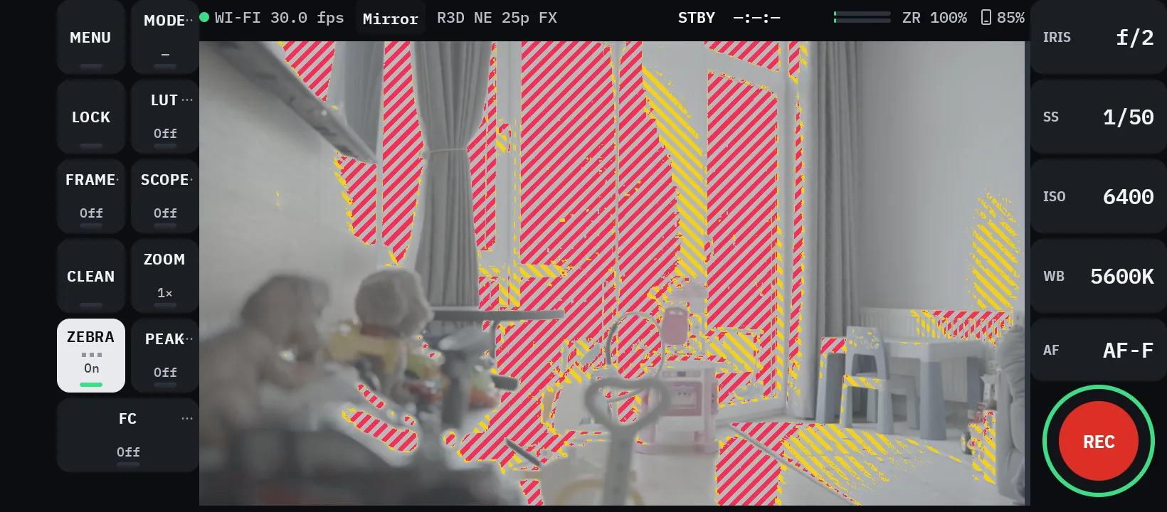 Real screenshot from a Nikon ZR session. No mockup.